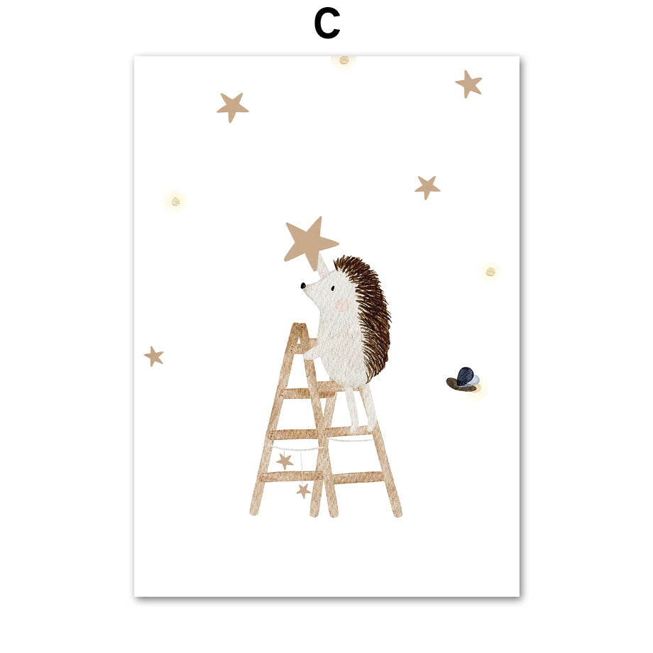 The Quiet Forest Collection